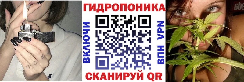 МЕФ Спас-Клепики