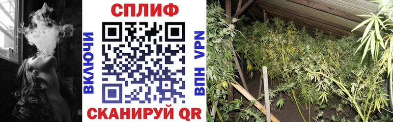 цена наркотик  Спас-Клепики  Шишки марихуана VHQ 